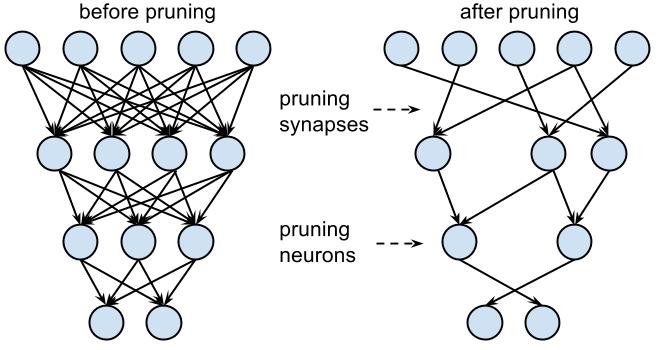 pruning nn